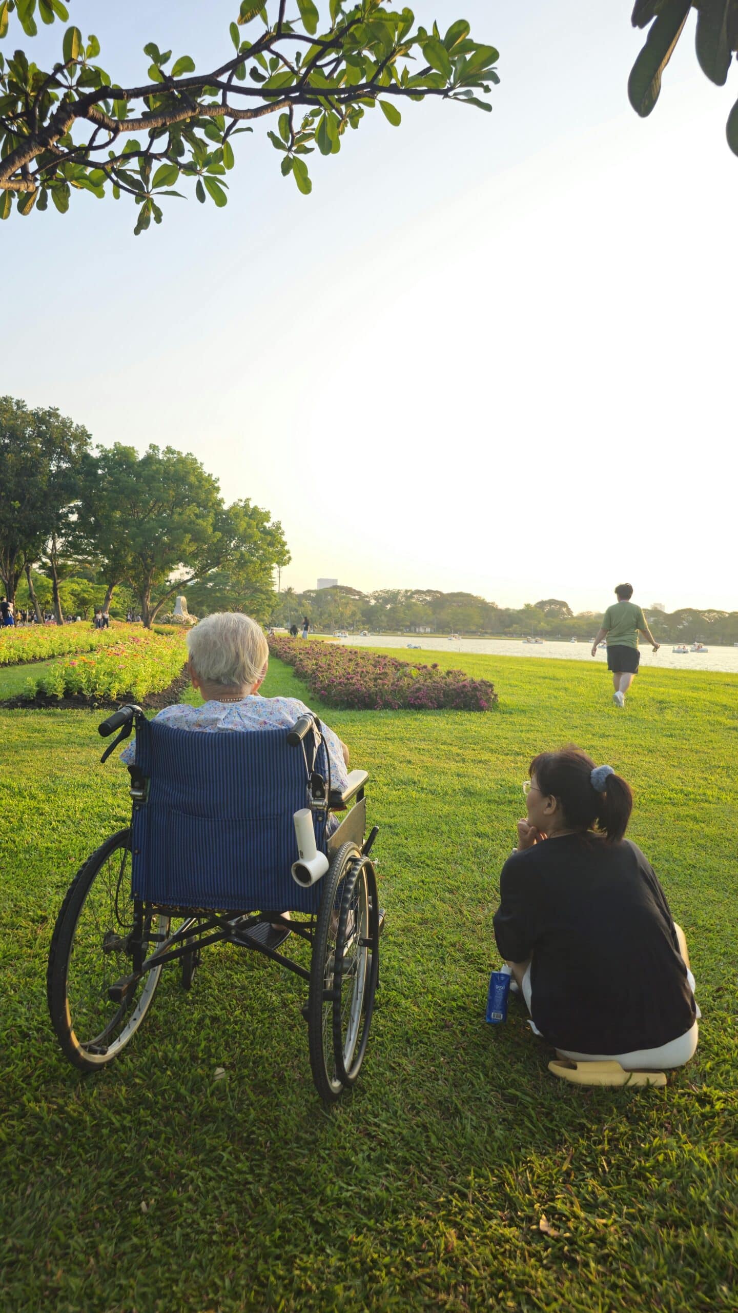 Caregiver sitting with woman in wheelchair, overlooking a park.